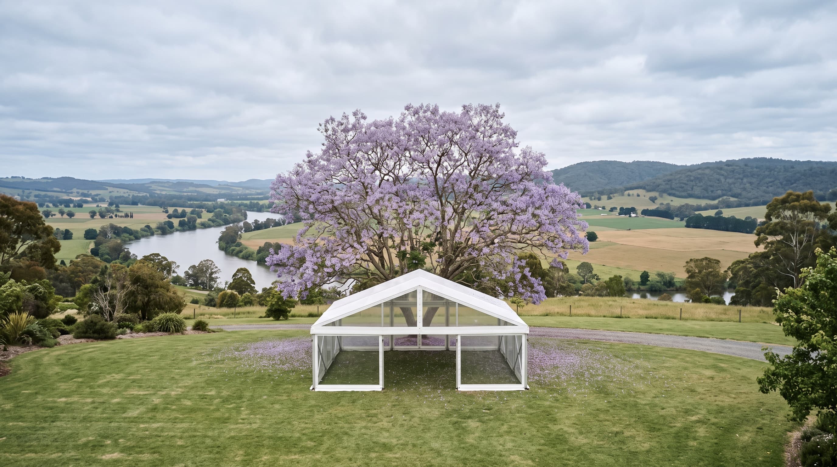 Marquee beneath jacarandas in the Clarence Valley at Grafton